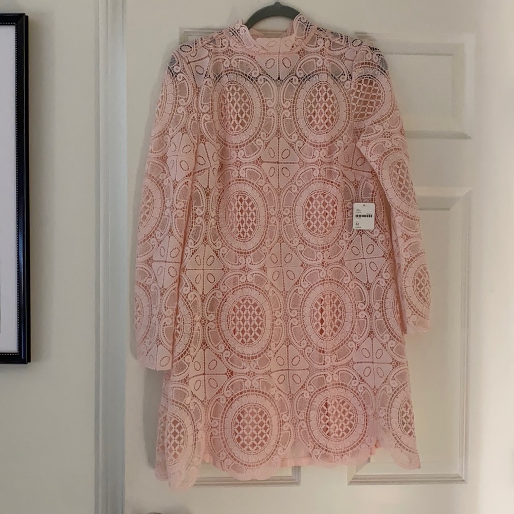 Free people lace dress in pink!
